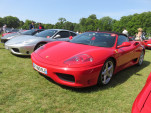 IMG 4272