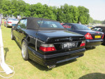 IMG 4292