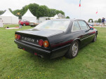 IMG 4533