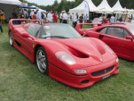 IMG 4541