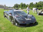 IMG 4381