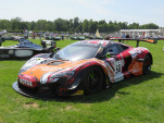 IMG 4385