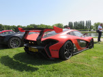 IMG 4351