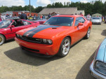 IMG 3535