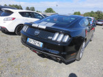 IMG 4081