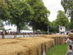 IMG 4943