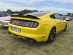 IMG 4688