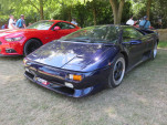 IMG 5541