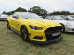 IMG 4687