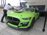IMG 4982