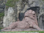 IMG 6533