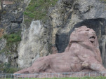 IMG 6532
