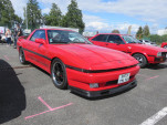 IMG 7282