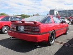 IMG 7284