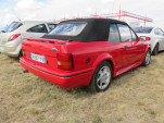 IMG 7451