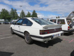 IMG 7278