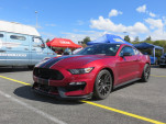 IMG 7336
