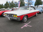 IMG 7419