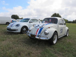 IMG 7569