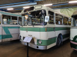 IMG 20210815 105337