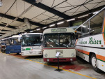 IMG 20210815 111524