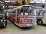 IMG 20210815 112959