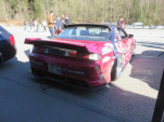 IMG 0785