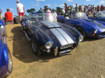 IMG 2775