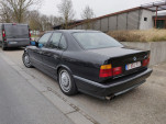 IMG 20230304 113049