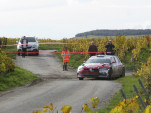 IMG 0075