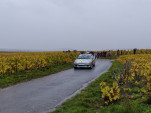 IMG 20211031 161543 017