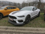 IMG 4172