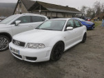 IMG 4191