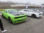 IMG 4059