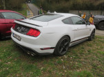 IMG 4175