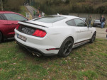 IMG 4176