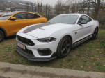 IMG 4171