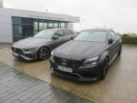 IMG 4912