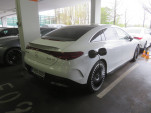 IMG 4919