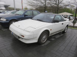 IMG 4764