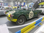 IMG 4490