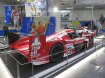 IMG 4511