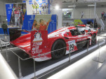 IMG 4512