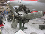 IMG 4270