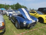 IMG 5879