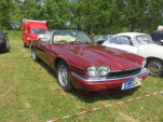 IMG 5991