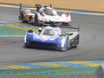 IMG 7248