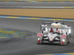 IMG 7061