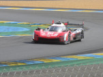 IMG 7434