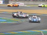 IMG 7234
